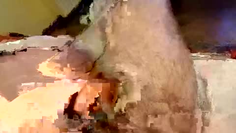 mako998843 online show from 02-15-26, 07:32