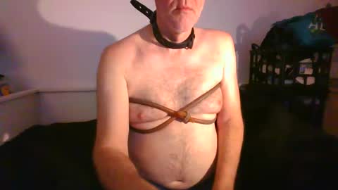 CommandbondageNipples bondage kink submissive lovense slave wgear. modequiethvyBondage If Password goldfish online show from 01-29-25, 09:12