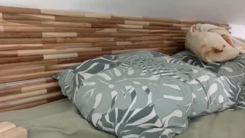 mamattv online show from 01-12-26, 09:47