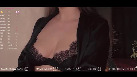 Snapshot of mamiemeow chatting on 02-10-25, 04:58 Your Miss Alice online show from 02-10-25, 04:58