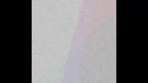 manatee bear online show from 09-17-25, 03:08