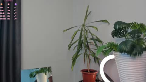 Manita online show from 05-05-26, 10:01