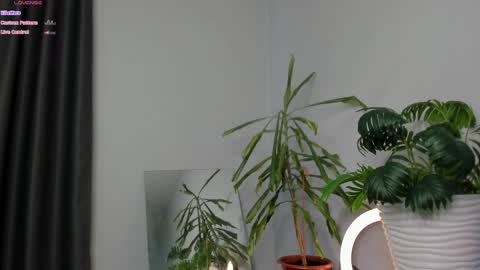 Manita online show from 05-08-26, 09:25