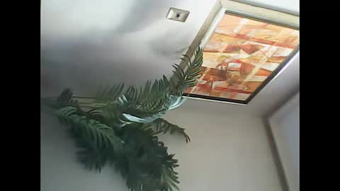 manu_481 online show from 03-07-25, 06:54