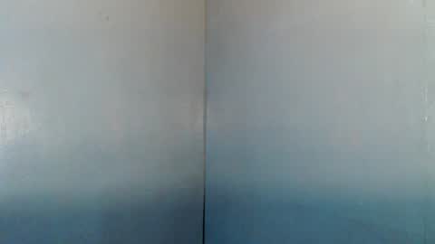 Snapshot of manualrein19 chatting on 07-04-26, 02:12 rein online show from 07-04-26, 02:12