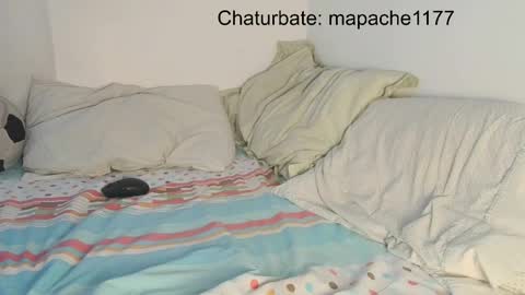 mapache1177 online show from 05-21-26, 06:59