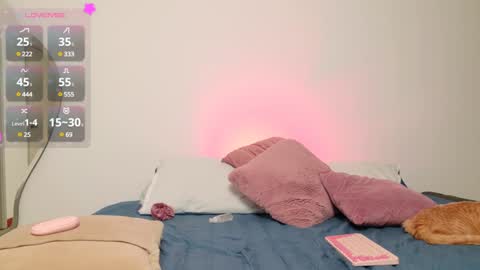     online show from 01-11-25, 03:23