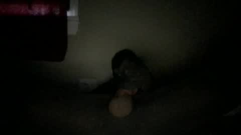 marc059 online show from 10-06-25, 09:01