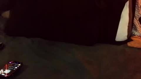 marctheslut online show from 05-26-26, 06:04
