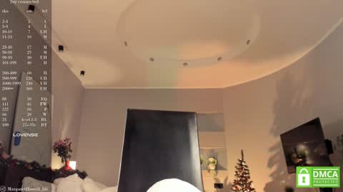 Snapshot of margarethowell chatting on 12-24-24, 12:55 Margaret online show from 12-24-24, 12:55