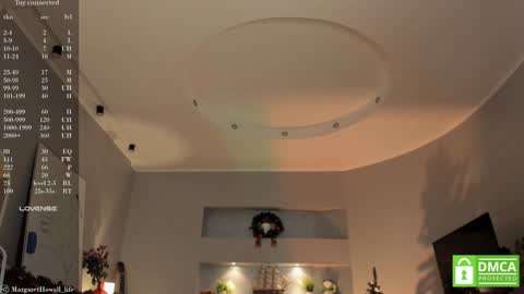 Snapshot of margarethowell chatting on 12-25-24, 10:28 Margaret online show from 12-25-24, 10:28