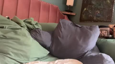 Elle online show from 04-24-26, 01:46