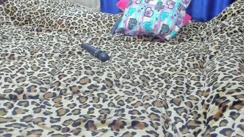 Snapshot of marie_marie03 chatting on 01-23-25, 01:56 Marie online show from 01-23-25, 01:56