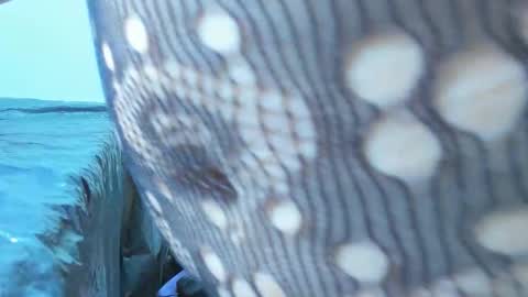 marilynwett online show from 03-21-26, 01:54