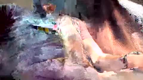 mark102839 online show from 03-13-26, 08:26