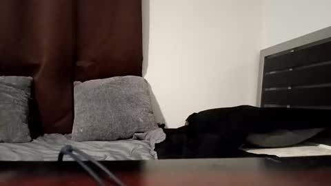 markbwcusmc online show from 01-15-26, 02:10