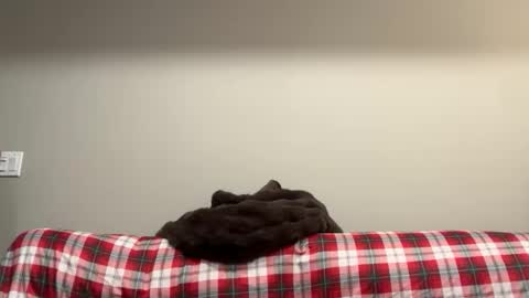 Snapshot of marlongotcake chatting on 03-01-26, 07:10 Marlongotcake online show from 03-01-26, 07:10