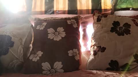 Snapshot of marocreda33 chatting on 12-24-24, 11:17 marocreda33 online show from 12-24-24, 11:17