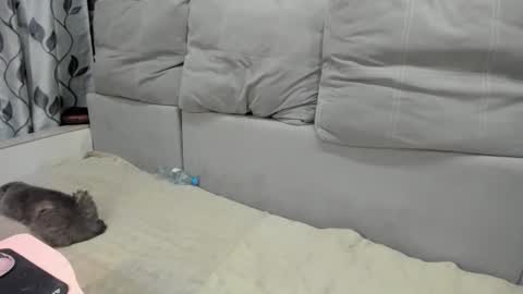 martaandserg online show from 04-07-26, 02:39