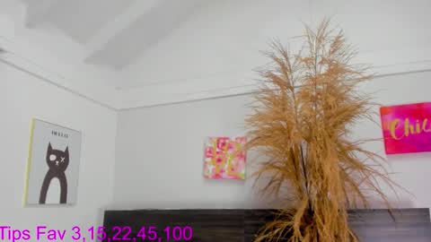 martina mIIler online show from 11-17-25, 12:44