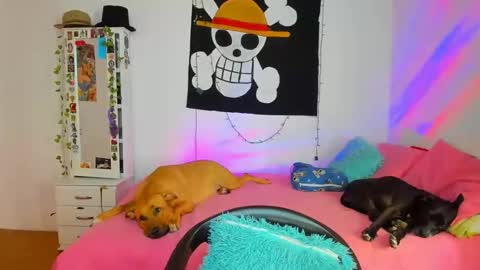 mary online show from 04-18-26, 07:07