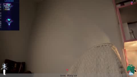 Mary GTM3Mon Wed Thu Sat Sun 0400 am-1030pm online show from 11-24-25, 01:05