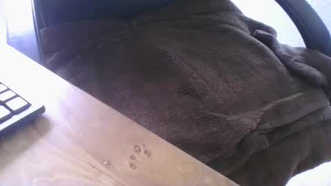 Snapshot of maskime59 chatting on 02-21-26, 01:45 maskime59 online show from 02-21-26, 01:45