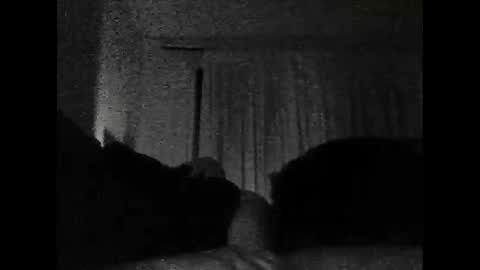 Dad .....AkA Your moms man online show from 12-04-24, 09:07