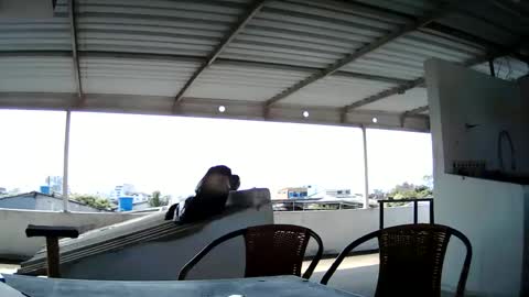 Snapshot of master_cospi96 chatting on 02-14-25, 02:54 Master Cospi online show from 02-14-25, 02:54