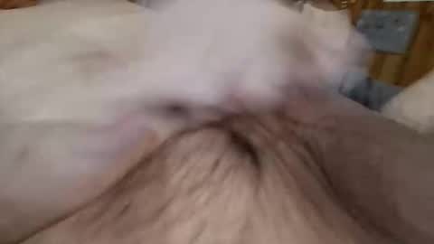 Snapshot of masturbator469658 chatting on 11-07-25, 02:50 masturbator469658 online show from 11-07-25, 02:50