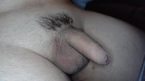 Snapshot of mateo_sp chatting on 01-28-25, 07:00 mateo_sp online show from 01-28-25, 07:00