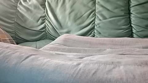 mathisdavid6757 online show from 11-09-25, 08:56