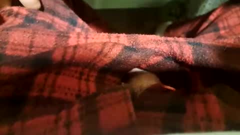 mattca80 online show from 04-20-26, 05:32