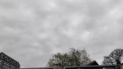 Snapshot of matthewdunn1506178071 chatting on 03-19-26, 09:35 Mattythelog online show from 03-19-26, 09:35