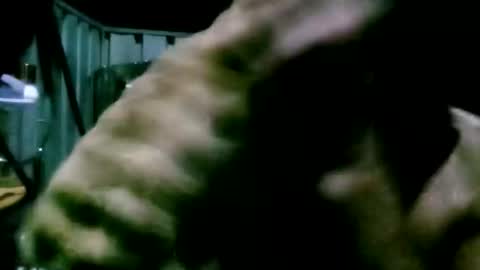 mattlesnake_101 online show from 04-18-26, 05:50