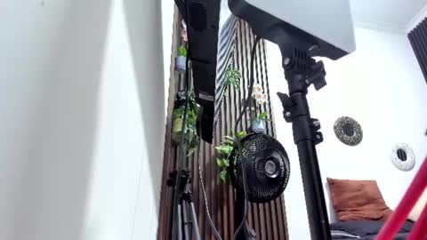  DEBORA  online show from 07-14-26, 12:13