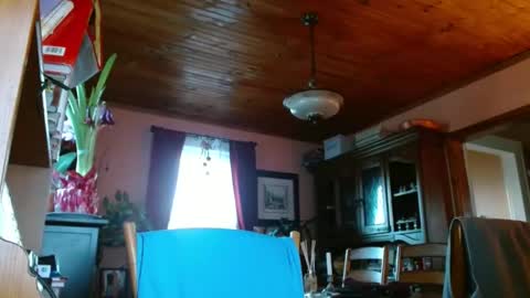 Maurice online show from 01-15-25, 12:47