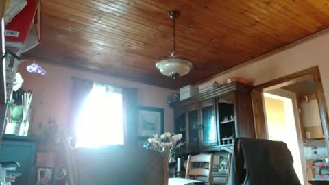 Maurice online show from 03-09-25, 09:03