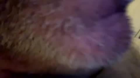 Snapshot of maverick7000 chatting on 02-23-25, 08:17 maverick7000 online show from 02-23-25, 08:17