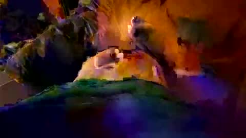 max884572 online show from 04-23-26, 11:18