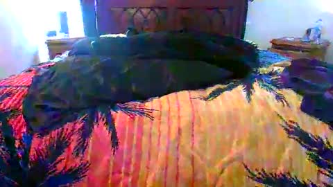 Snapshot of maximus_oreally chatting on 02-17-26, 01:46 Max online show from 02-17-26, 01:46