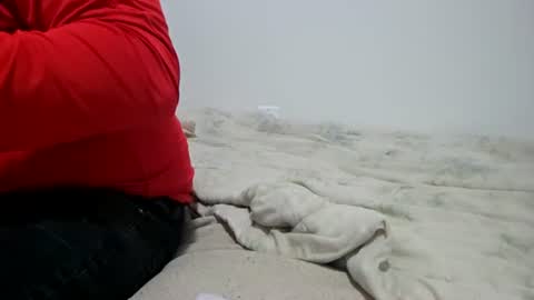 McFly online show from 04-28-26, 02:27