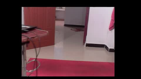 Snapshot of me_hai12 chatting on 12-17-24, 03:39 me_hai12 online show from 12-17-24, 03:39