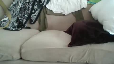 yung n hung online show from 02-08-25, 08:42