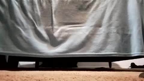 Snapshot of megacock420420 chatting on 12-10-24, 02:27 megacock420420 online show from 12-10-24, 02:27