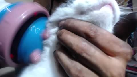 melany online show from 11-06-25, 08:54