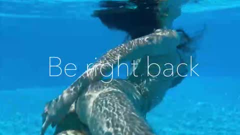 Snapshot of melanybunny chatting on 09-15-25, 02:50 Adel online show from 09-15-25, 02:50