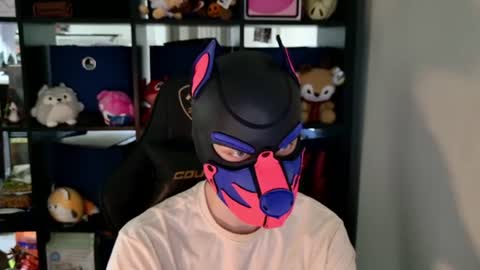 MellPUP online show from 06-11-26, 06:28
