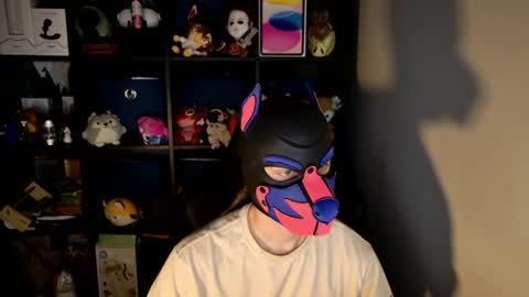 MellPUP online show from 06-15-26, 11:23