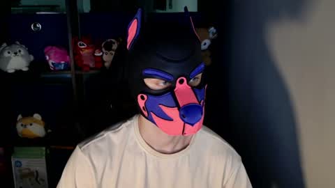 MellPUP online show from 06-16-26, 11:46